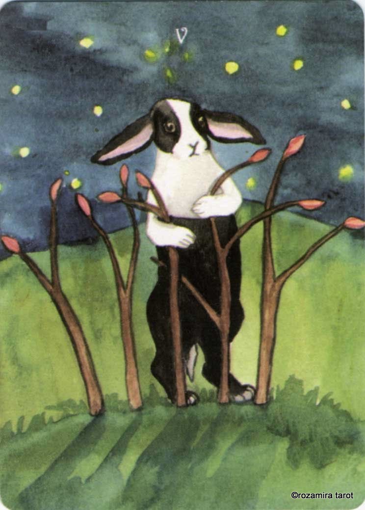 Rabbit Tarot